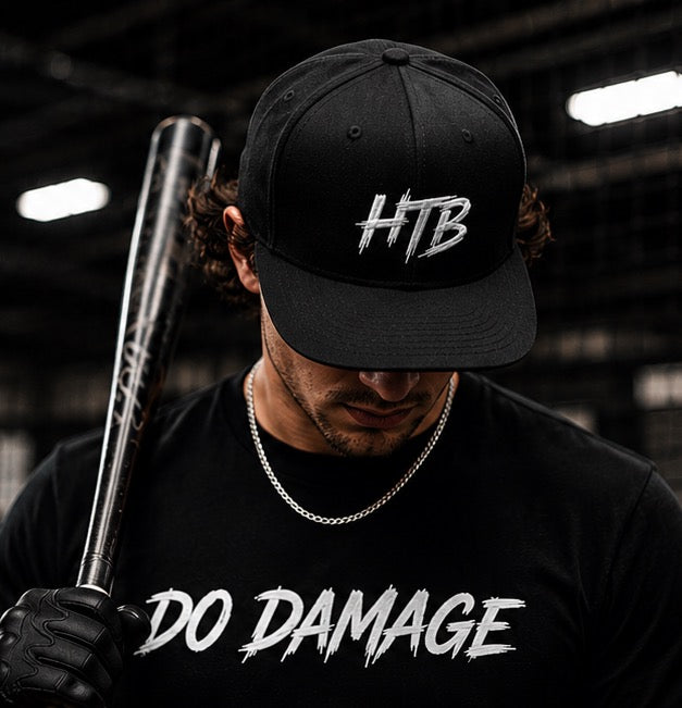 HTB Fitted Hat